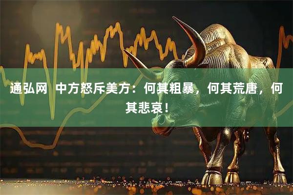 通弘网  中方怒斥美方：何其粗暴，何其荒唐，何其悲哀！