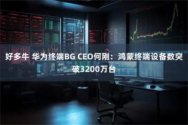 好多牛 华为终端BG CEO何刚：鸿蒙终端设备数突破3200万台