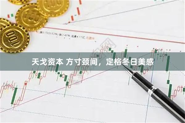天戈资本 方寸颈间，定格冬日美感